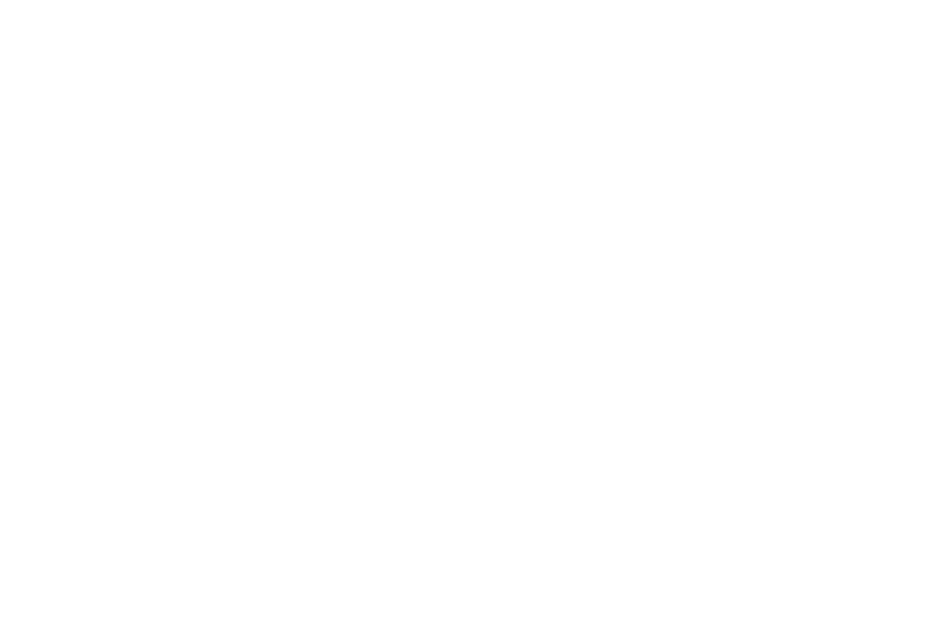 SO_Logo